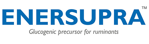 Enersupra