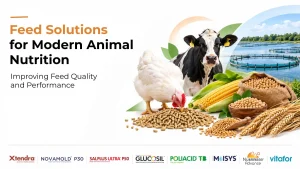 Feed solutions for modern animal nutrition and feed quality