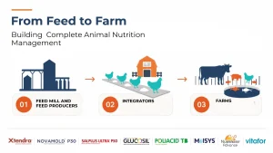 From feed to farm animal nutrition strategy