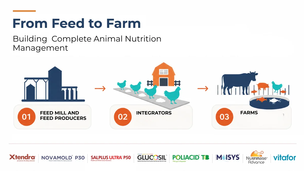 From feed to farm animal nutrition strategy